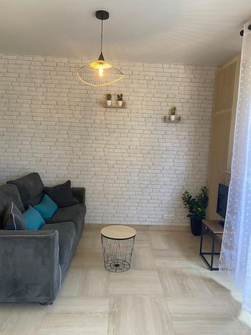 Appartement Grand Dans Avec Piscine Hyères