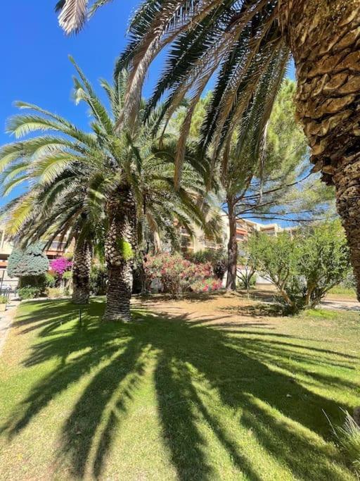 Grand Dans Avec Piscine Apartment Hyeres