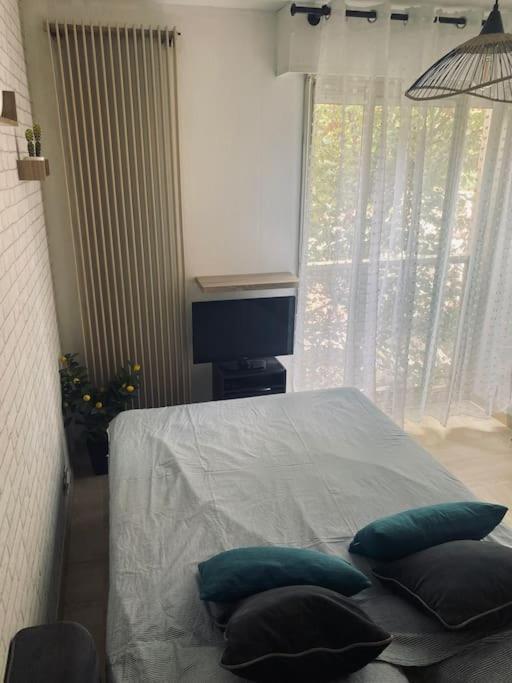 Grand Dans Avec Piscine Appartement *